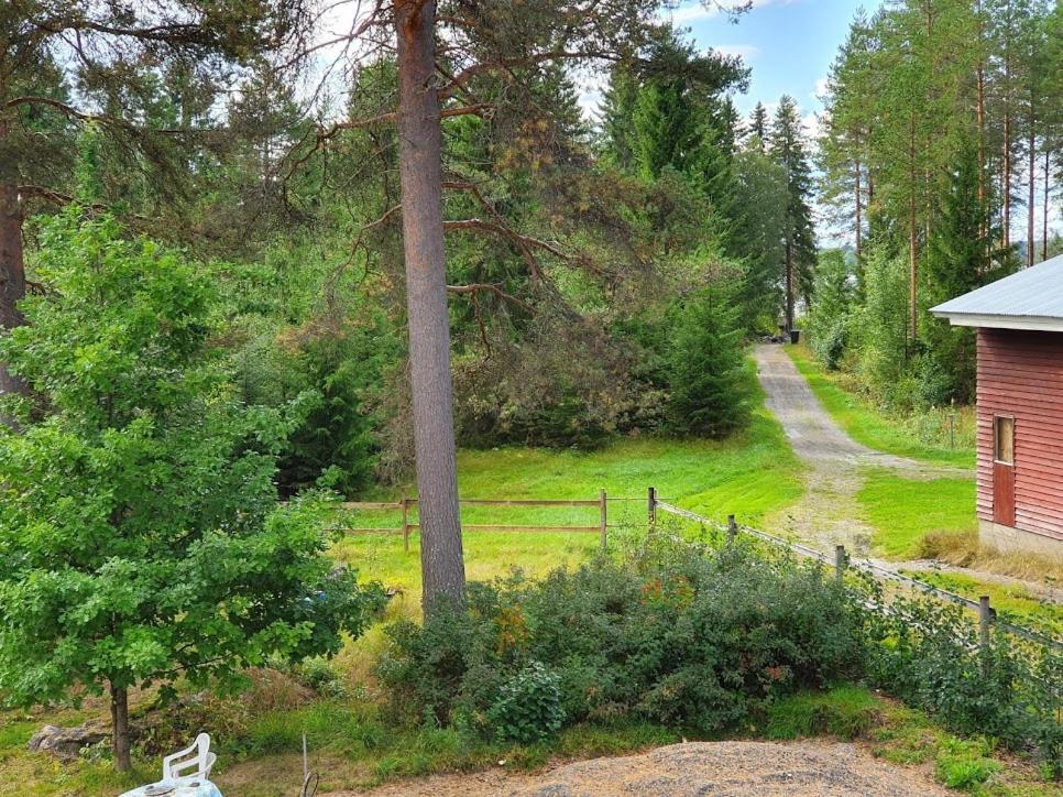 Toivonniemen Kotimajoitus Paltaniemi Exterior foto