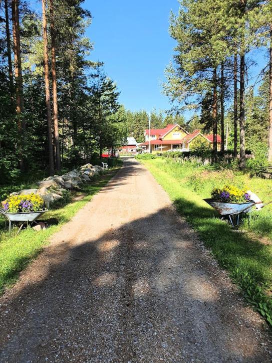 Toivonniemen Kotimajoitus Paltaniemi Exterior foto